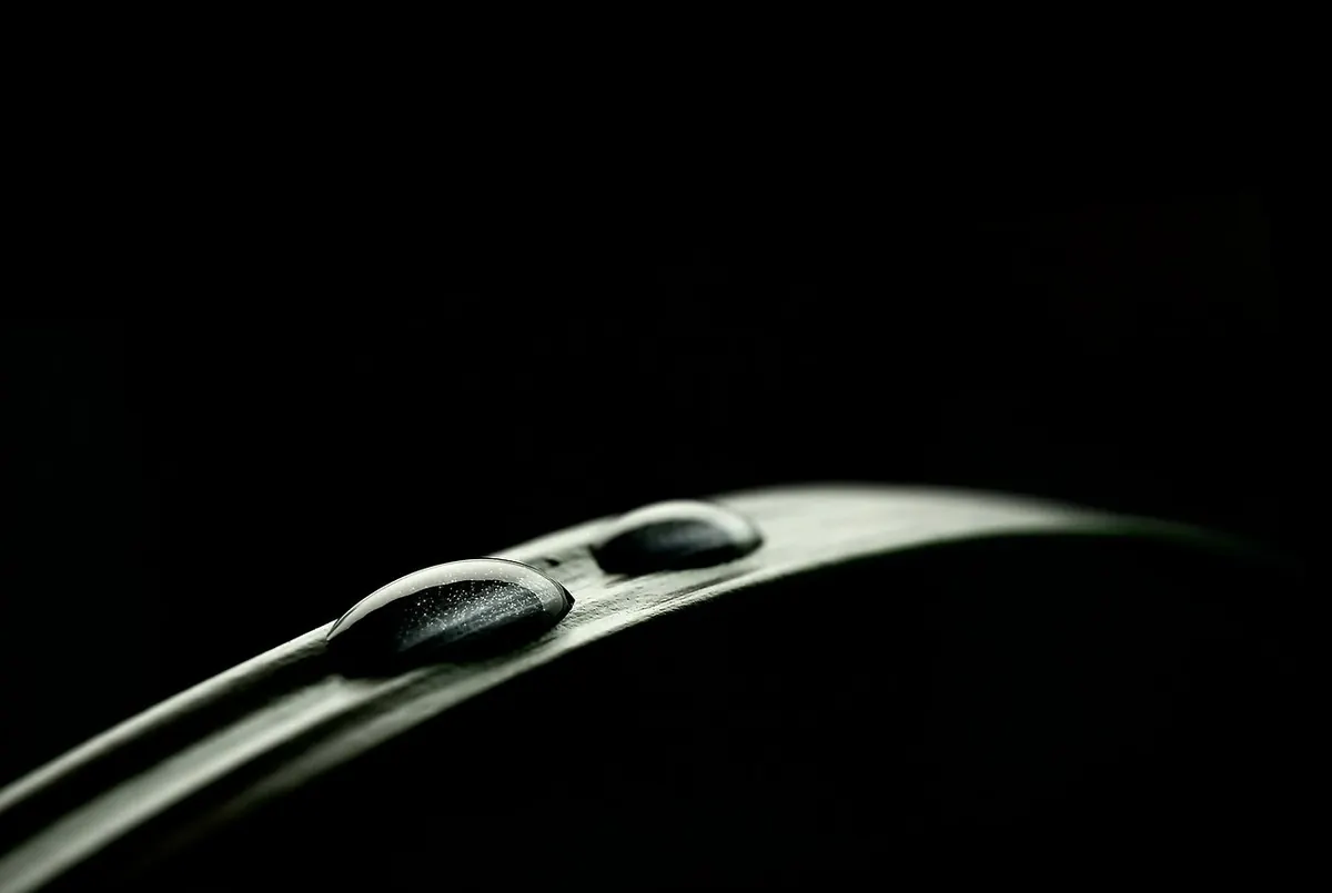Traditional vs Self-Publishing in the UK: Costs, Timelines and Rights Compared